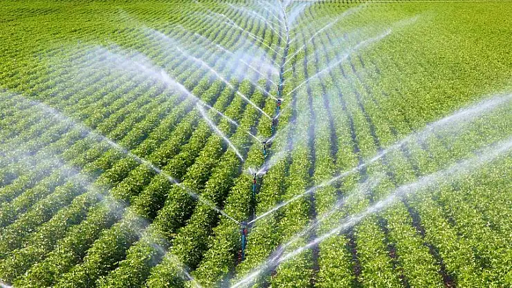 Çiftçiler için yeni destekler Resmi Gazete’de