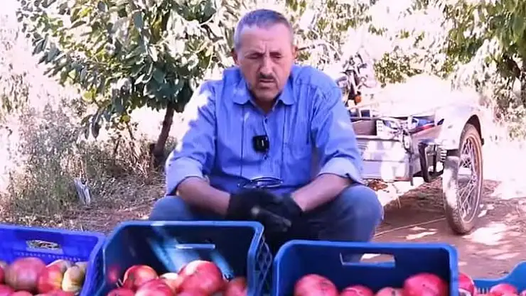 Derneklinin pembe domatesleri sofraların gözdesi oldu