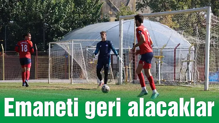 Emaneti geri alacaklar