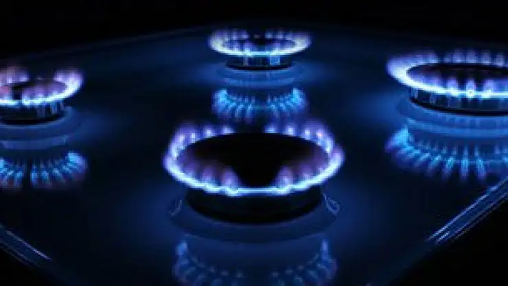 EPDK Başkanı’ndan ücretsiz doğalgaz açıklaması