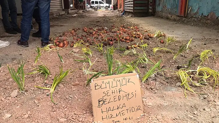 Esnafın ilginç eylemi: Açık hendeklere soğan ektiler