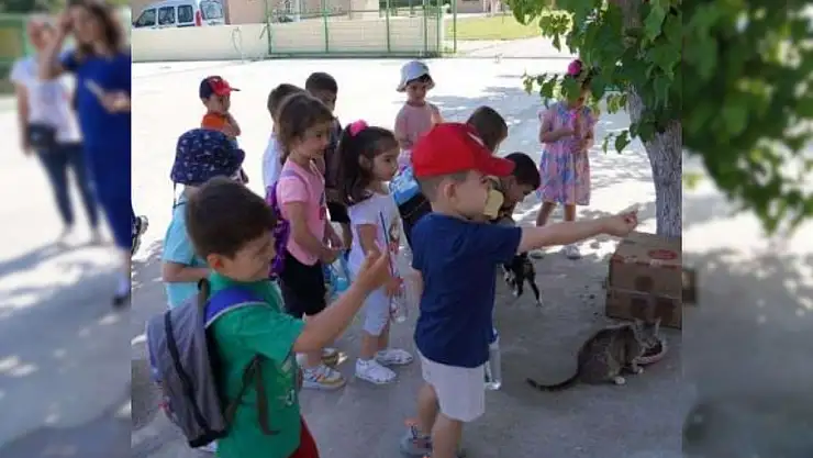 Geçici Hayvan Bakım Evi’nde Çocuklar Sevgi Dolu Bir Gün Geçirdi