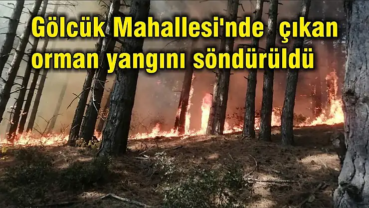 Gölcük Mahallesi'nde çıkan orman yangını söndürüldü