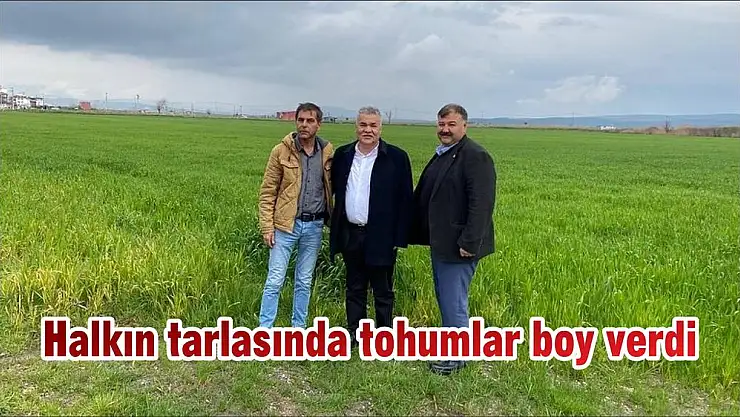 Halkın tarlasında tohumlar boy verdi