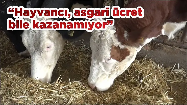 'Hayvancı, asgari ücret bile kazanamıyor'