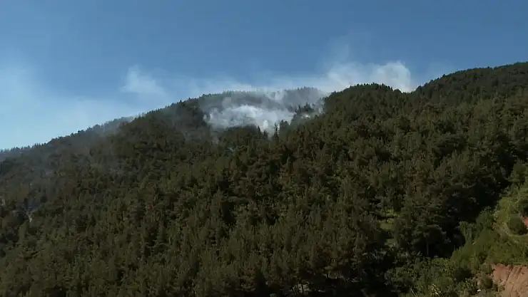 Helikopterler yangın göletini kullanamıyor!