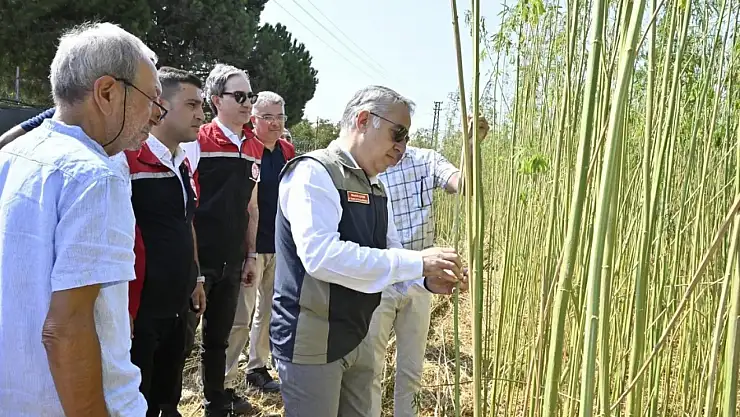 Helvacı Mahallesi'nde İlk Defa İzinli Kenevir Hasadı Yapıldı