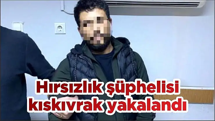 Hırsızlık şüphelisi kıskıvrak yakalandı
