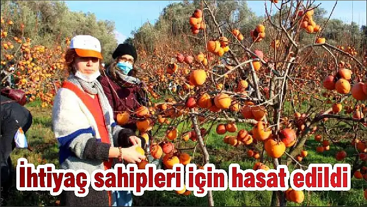 İhtiyaç sahipleri için hasat edildi