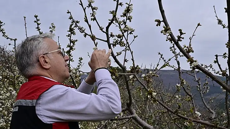 İl Tarım Müdürü Mustafa Şahin, Bayındır'da Genç Çiftçiyi Ziyaret Etti