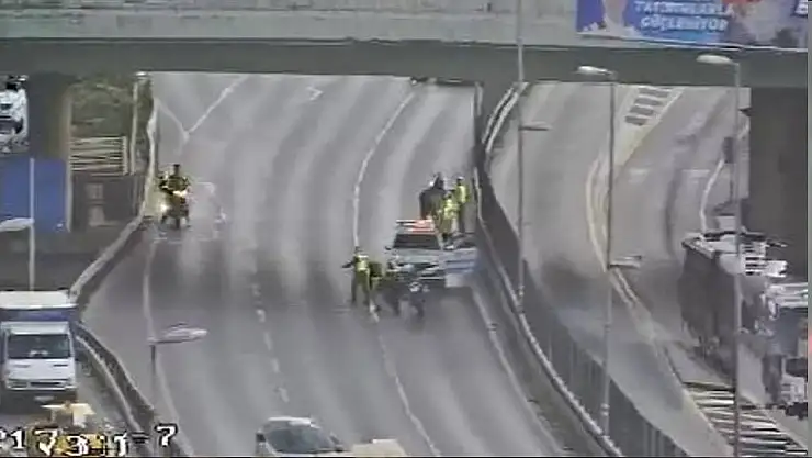 İstanbul trafiğiyle 2 atın imtihanı!