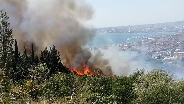 İstanbul'da ormanlık alanda yangın paniği !
