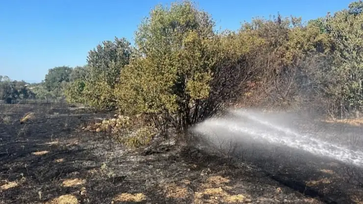 İzmir'de Yangın Alarmı: Üç Noktada Çıkan Alevler Söndürüldü