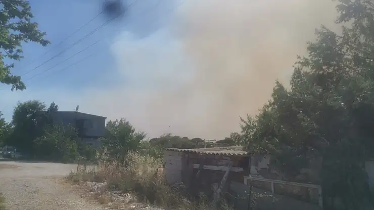 İzmir'de Yangın Kâbusu: Seferihisar'da Söndürülen Yangın Yeniden Alevlendi, Müdahale Yetersiz Kaldı