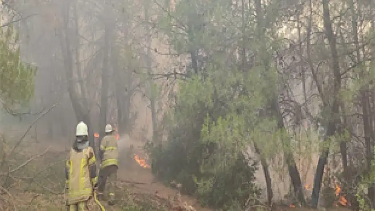 İzmir İtfaiyesi kentin dört bir yanında yangınlarla mücadele ediyor
