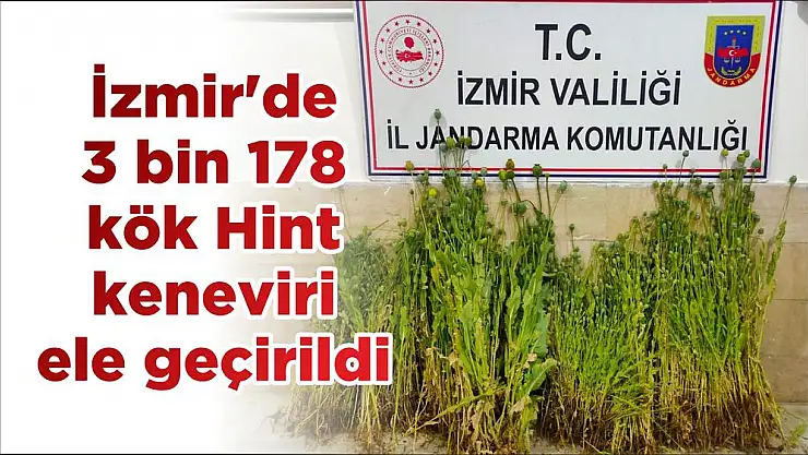 İzmir’de 3 bin 178 kök Hint keneviri ele geçirildi