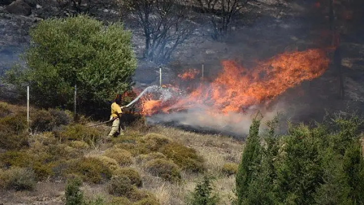 İzmir’de aşırı sıcakların bilançosu 25 hektar alan kül oldu