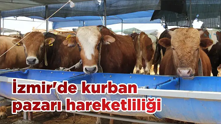 İzmir'de kurban pazarı hareketliliği