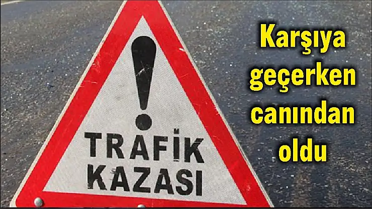 Karşıya geçerken canından oldu