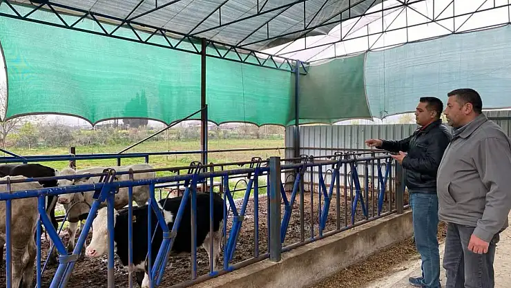 Kiraz'da Yeni Hayvancılık İşletmelerine Sıkı Denetim