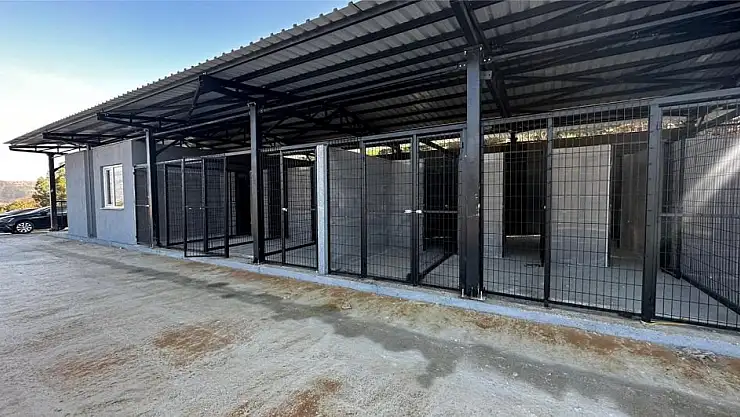 Kiraz hayvan barınağı açılıyor