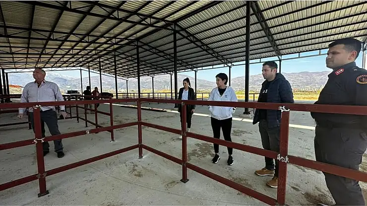 Kiraz'a yeni hayvan pazarı kuruluyor