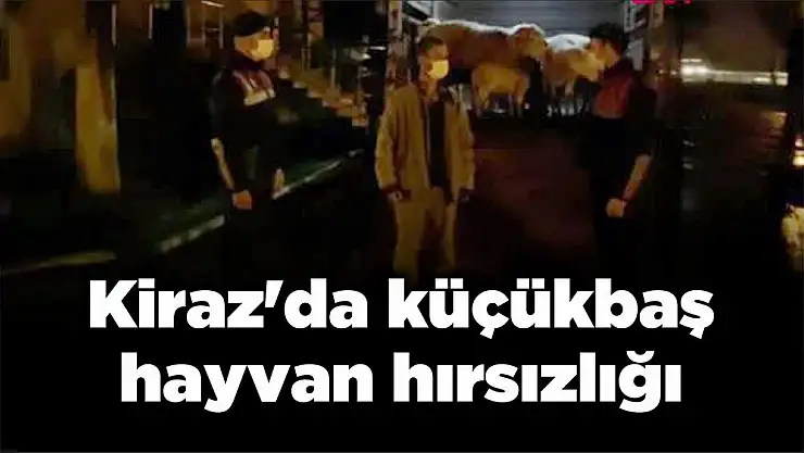 Kiraz'da küçükbaş hayvan hırsızlığı