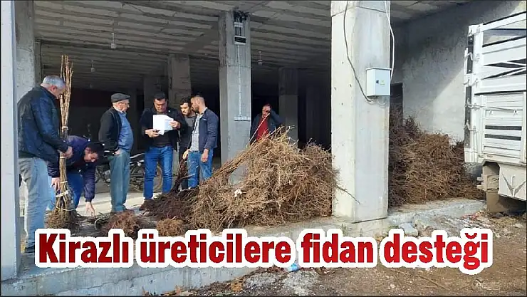 Kirazlı üreticilere fidan desteği