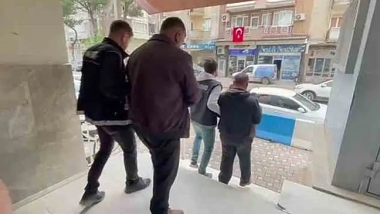 Kök keneviri tarlasına baskın… Çok sayıda ele geçirildi