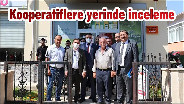 Kooperatiflere yerinde inceleme