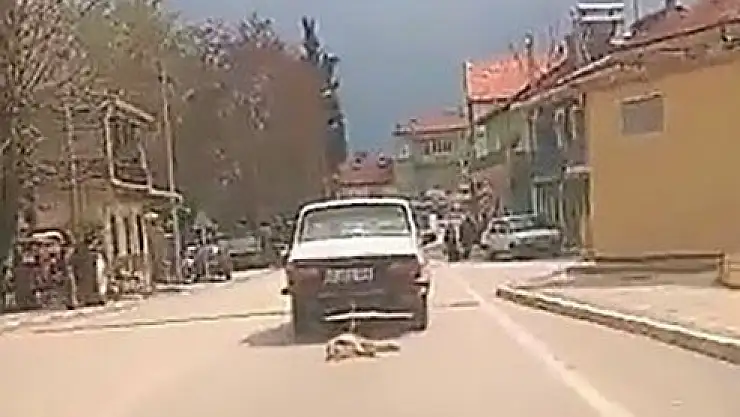 Köpeği araca bağlayıp sürüklemişti… Cani katilin savunması şok etti