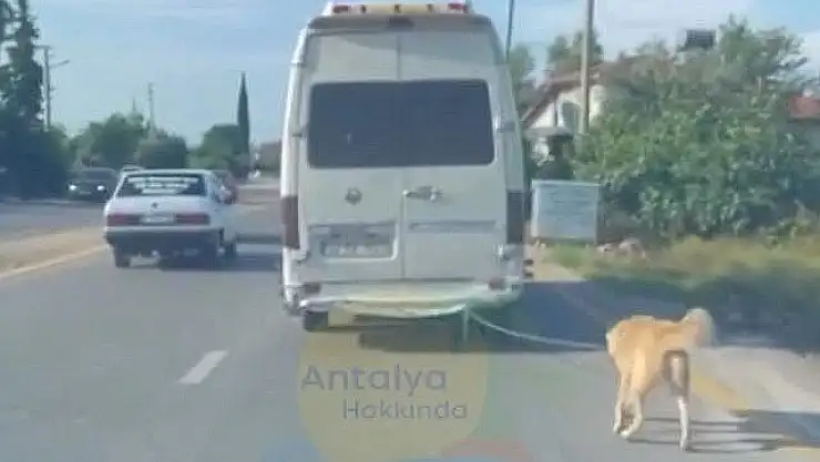 Köpeği aracın arkasına bağlayarak eziyet etti