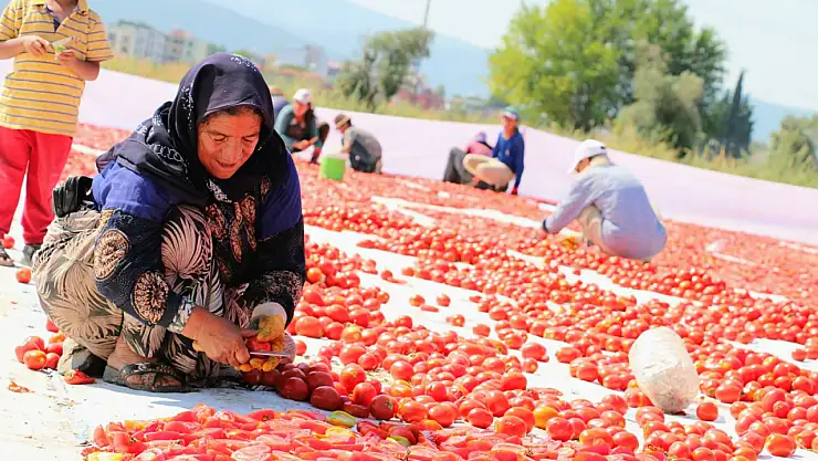 Kuru Domates Dünya İkinciliğinde Torbalı Etkisi