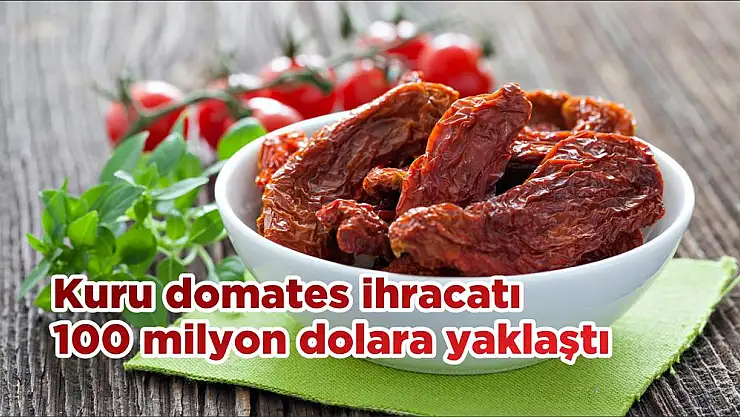 Kuru domates ihracatı 100 milyon dolara yaklaştı