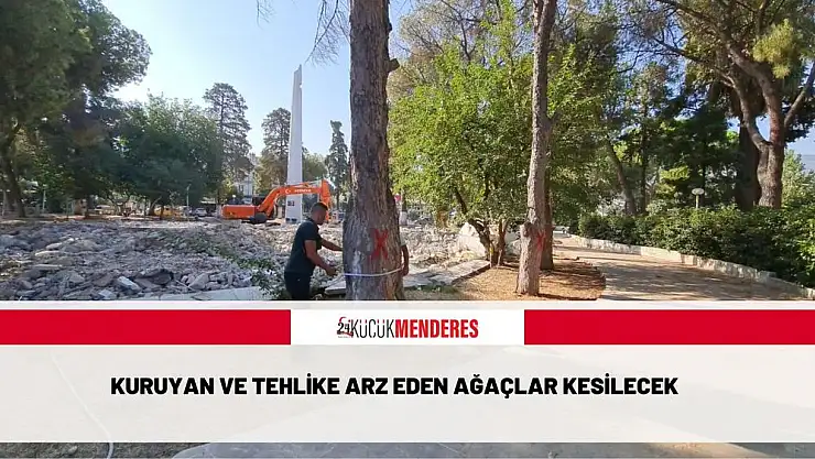 Kuruyan ve tehlike arz eden ağaçlar kesilecek