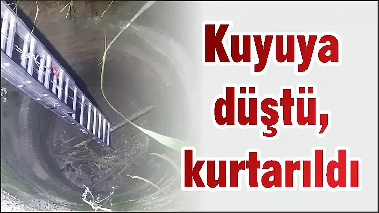 Kuyuya düştü, kurtarıldı