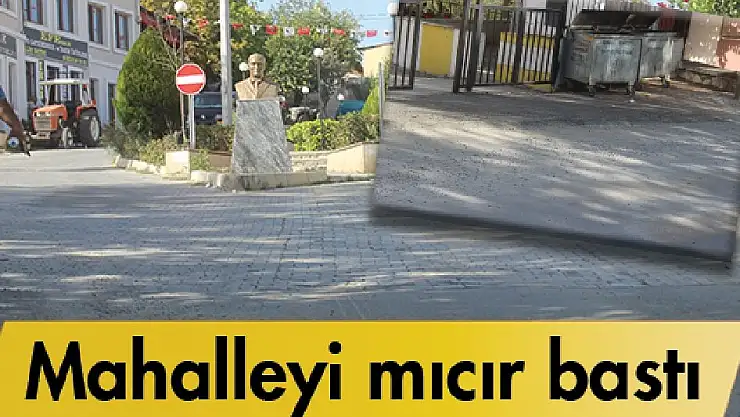 Mahallede mıcır istilası