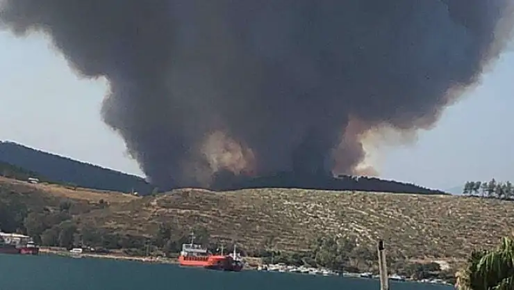 Milas’ta korkutan yangın