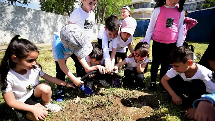 Minikler zeytin fidanlarına can suyu verdi