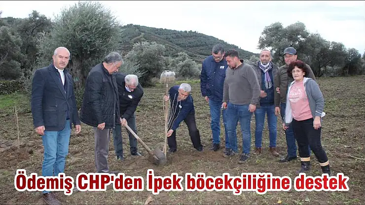 Ödemiş CHP'den İpek böcekçiliğine destek
