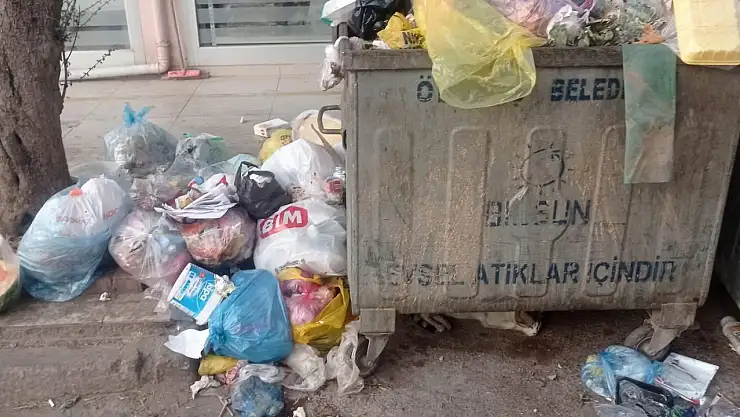 Ödemiş Çöp Kokusuna Teslim Oldu