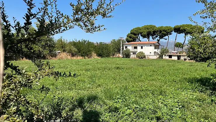 ÖDEMİŞ'TE LAĞIM SUYU İLE KARPUZ TARLASI SULANIYOR İDDİASI