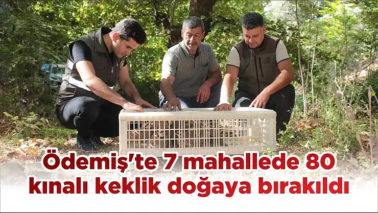 Ödemiş’te 7 mahallede 80 kınalı keklik doğaya bırakıldı
