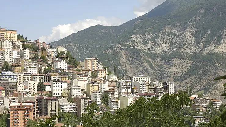 Organize suç örgütü üyesi kaçarken yakalandı