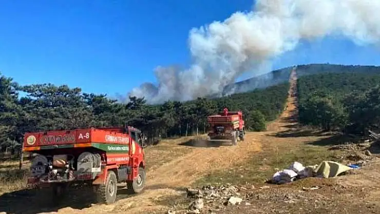 ORMAN VE KIRSAL ALAN YANGIN SÖNDÜRME HİZMETİ ALINACAKTIR