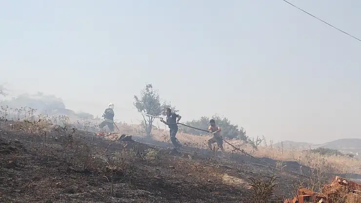 Ormanlık alan yakınında çıkan yangında 20 dönümlük alan küle döndü