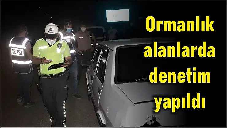 Ormanlık alanlarda denetim yapıldı