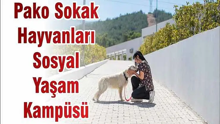 Pako Sokak Hayvanları Sosyal Yaşam Kampüsü