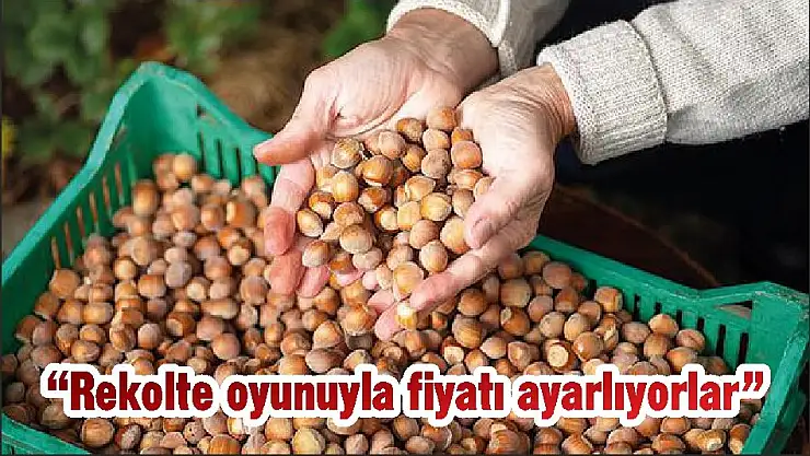 'Rekolte oyunuyla fiyatı ayarlıyorlar'