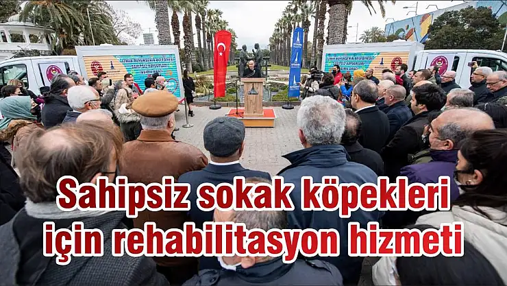 Sahipsiz sokak köpekleri için rehabilitasyon hizmeti